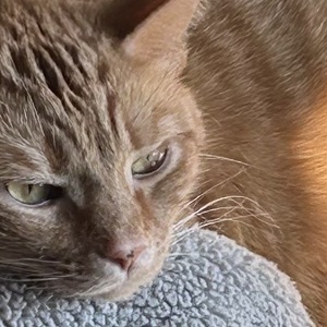 Fundraising Page: Brett Flaskamp